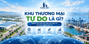 Khu thương mại tự do là gì? Các khu thương mại tự do tại Việt Nam